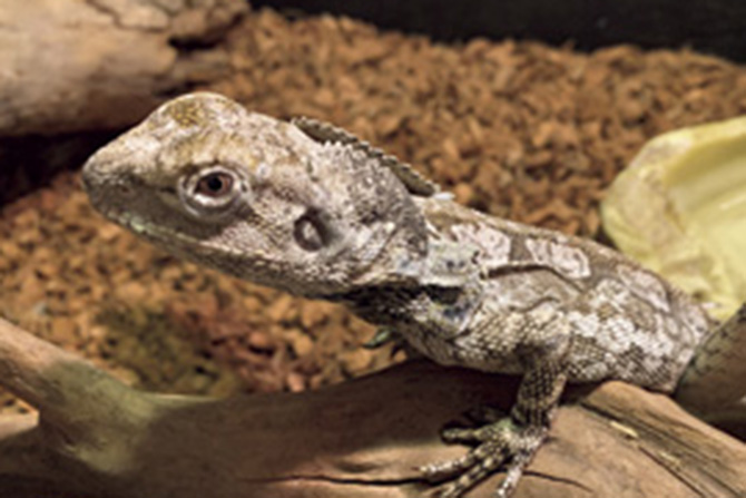 錦ケ丘ヒルサイドモール アクアテラス錦ケ丘