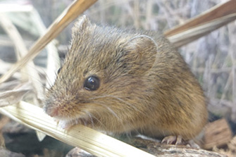 仙台うみの杜水族館