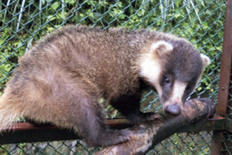 環境水族館 アクアマリンふくしま