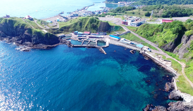 【北海道】おたる水族館の徹底ガイド!