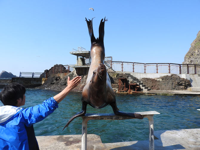 【北海道】おたる水族館の徹底ガイド!