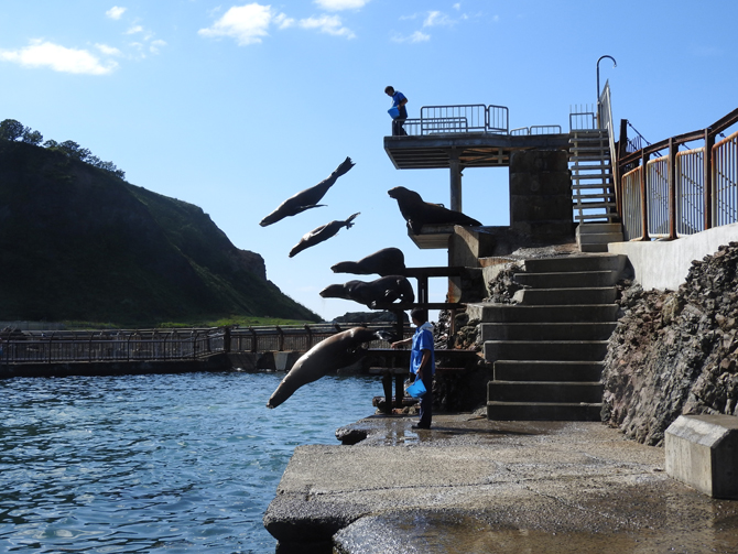 【北海道】おたる水族館の徹底ガイド!