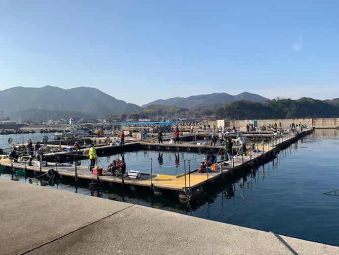 (画像提供:海上釣り堀オーパ!!)