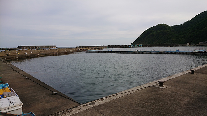 (画像提供:美浜町漁協 直営 ひるが海上釣堀)