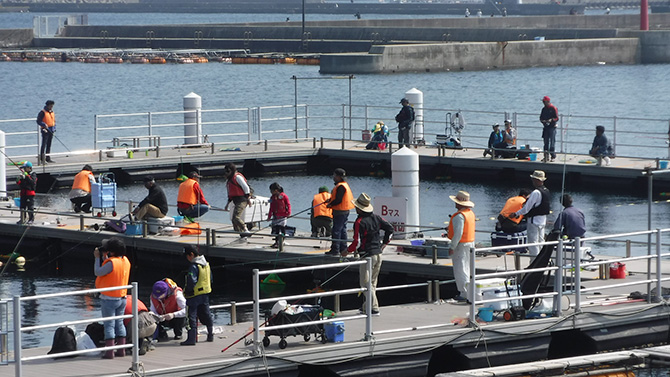 (画像提供:大島海洋体験施設 うみんぐ大島)
