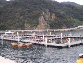 (画像提供:大島海洋体験施設 うみんぐ大島)