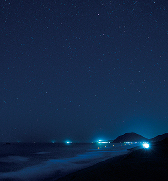 とっとり観光ガイドセンター