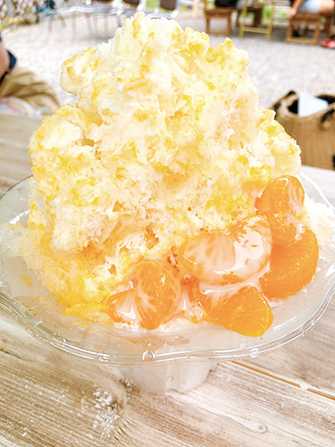 「NT STYLE」のみかん氷