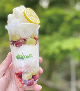 「牧原の里」のフルーツインはちみつレモン氷
