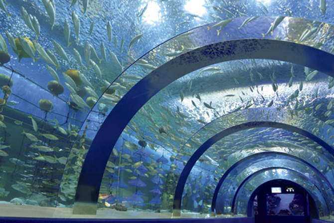 青森県営浅虫水族館