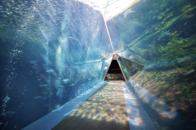 環境水族館 アクアマリンふくしま