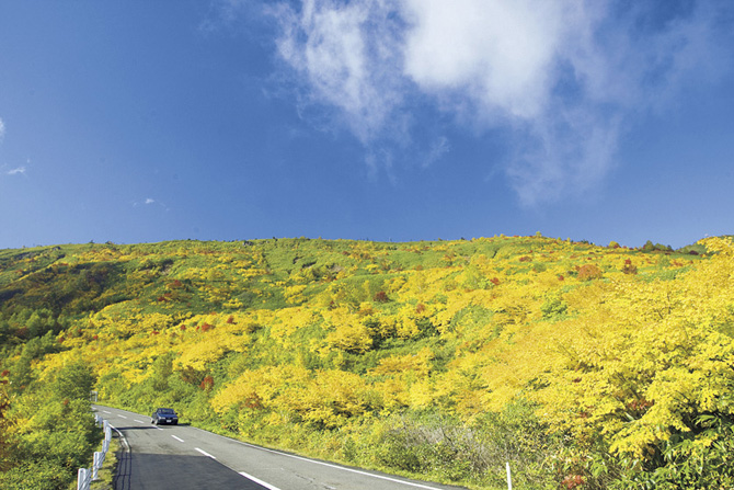 八幡平アスピーテライン