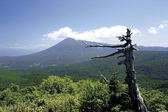 八幡平アスピーテライン