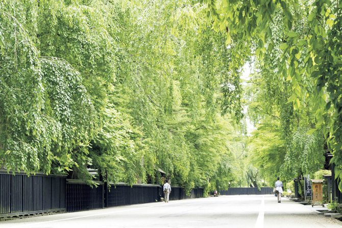 角館武家屋敷通り