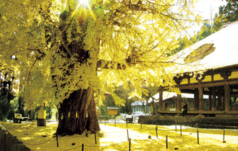 新宮熊野神社「長床」