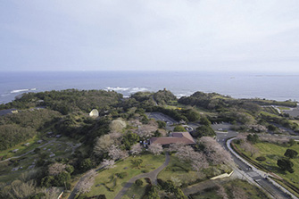 三崎公園