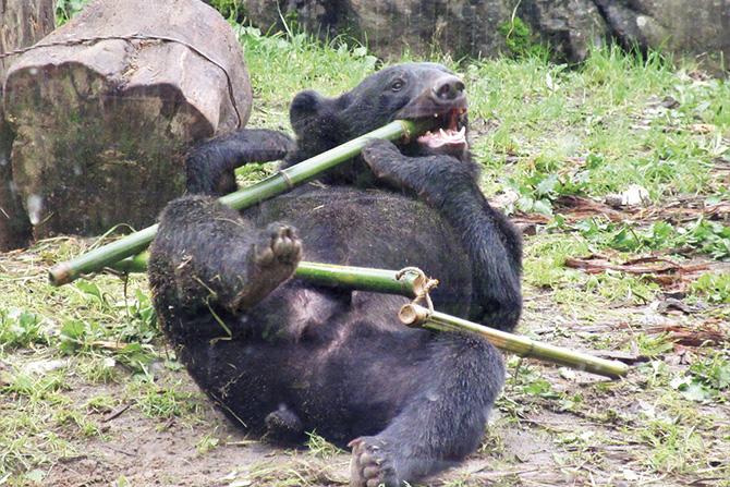 八木山動物公園フジサキの杜