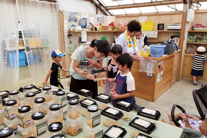 むつみ昆虫王国