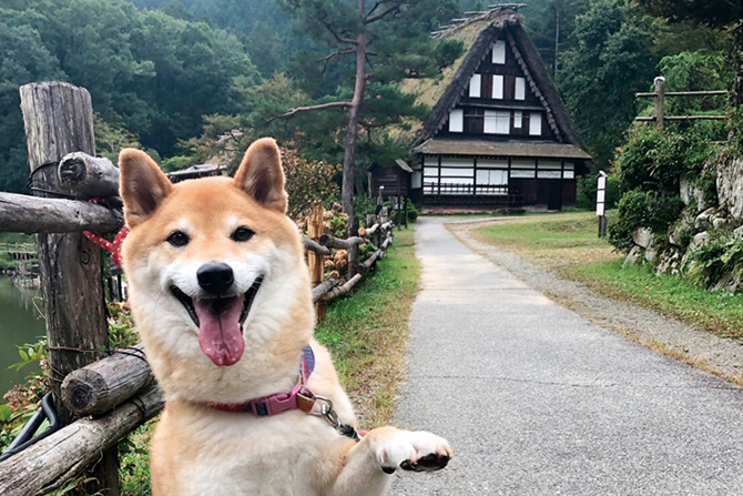 飛騨の里