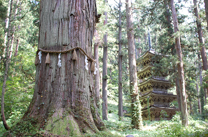 （画像提供：出羽三山神社）