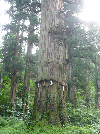 （画像提供：出羽三山神社）