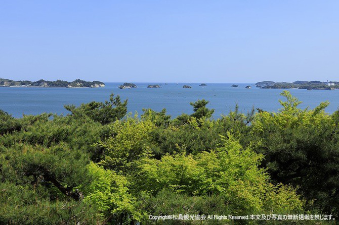 (画像提供:松島観光協会)