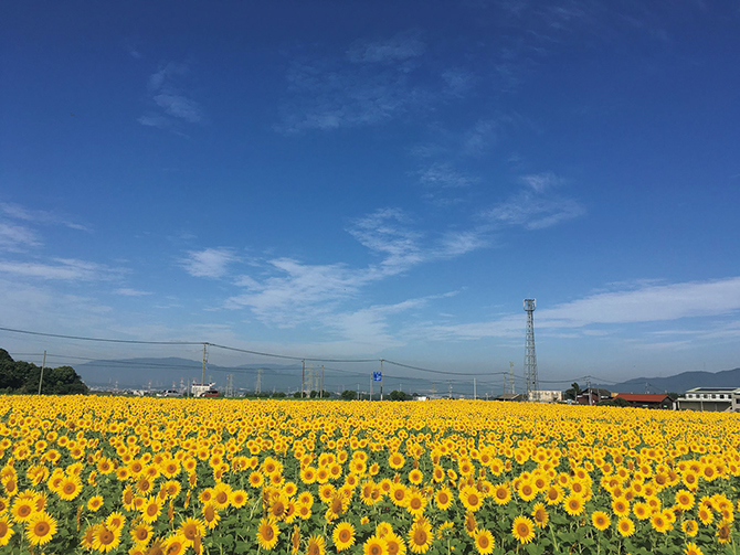 道の駅 筑前みなみの里