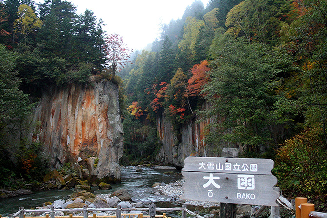 (画像提供:層雲峡観光協会)