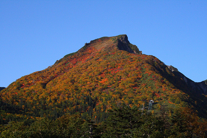 (画像提供:層雲峡観光協会)