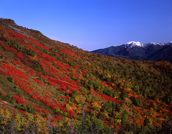 (画像提供:層雲峡観光協会)