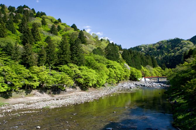 愛知 夏におすすめの観光スポット16選 涼しい渓谷やひまわり畑など じゃらんニュース