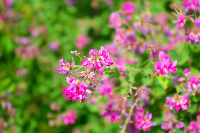 (写真提供:写真AC)