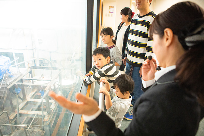 (画像提供:伯方塩業株式会社)
