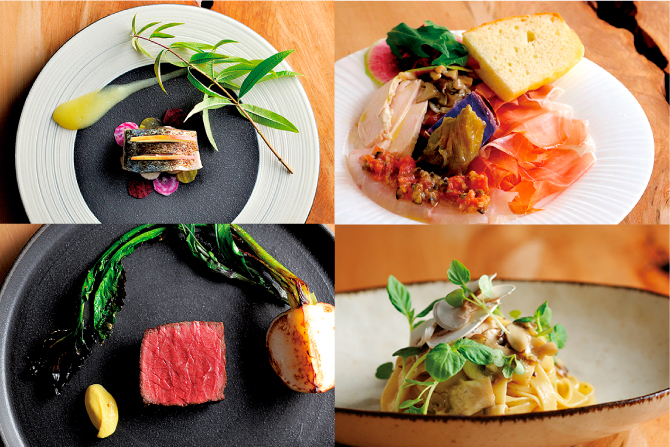 Biwa collage