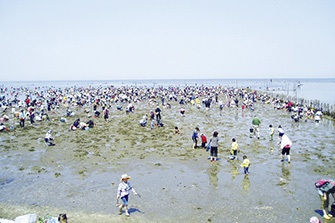 冨津海岸 潮干狩場