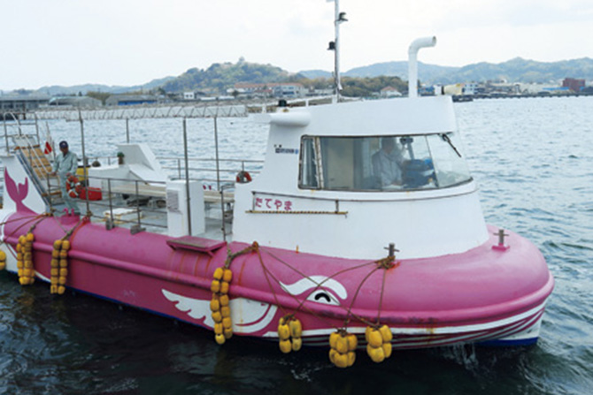 海中観光船 たてやま号