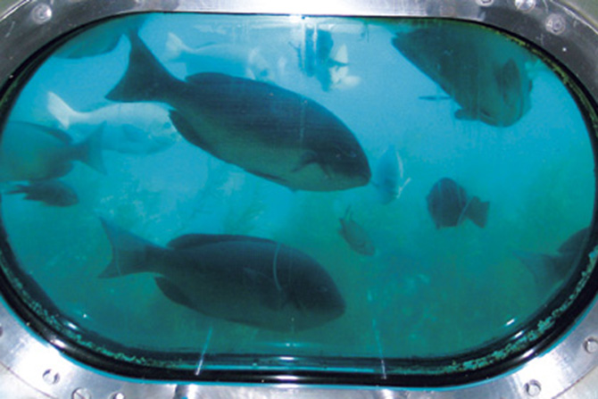 かつうら海中公園 海中展望塔