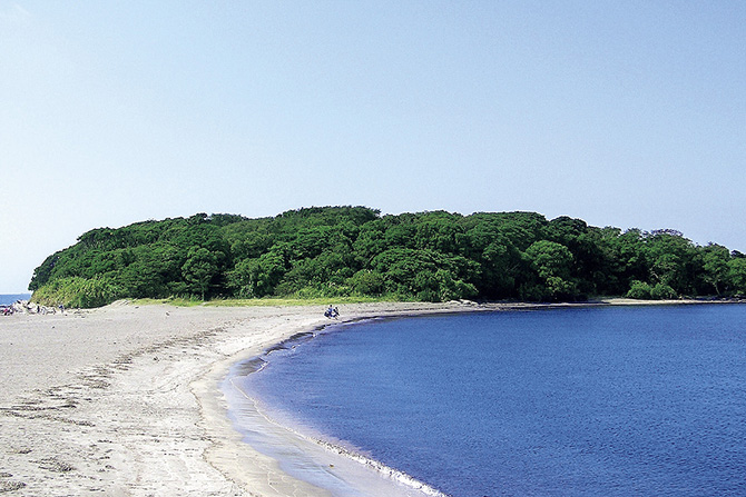 たてやま・海辺の鑑定団