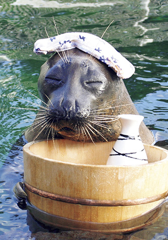 箱根園水族館