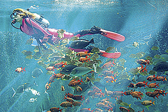 箱根園水族館