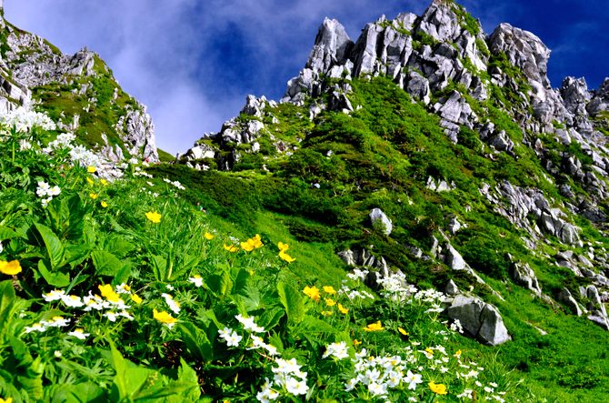 【長野】夏におすすめの観光スポット14選！透き通った水の川や滝、涼しい高原など