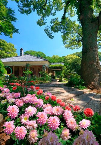 (画像提供:グラバー園)