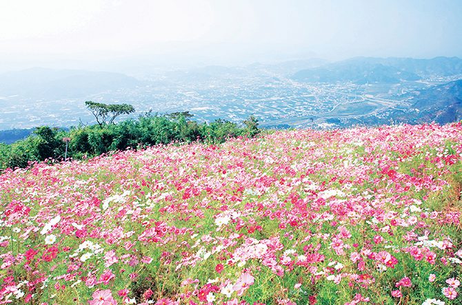21年9月の絶景記事ランキング発表 一面のコスモス畑や紅葉絶景が話題 じゃらんニュース じゃらんニュース