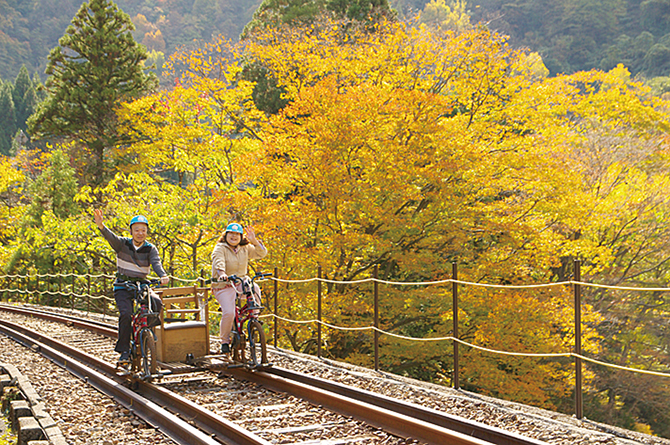 レールマウンテンバイク Gattan Go!!