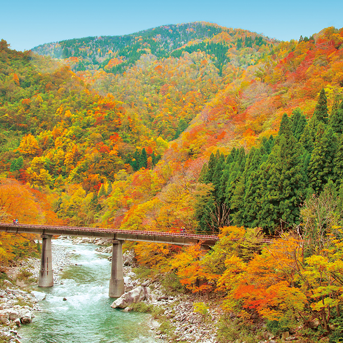 レールマウンテンバイク Gattan Go!!