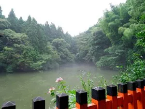 【京都】伏見稲荷大社の楽しみ方！千本鳥居など見どころ＆まわり方を紹介＜2023＞ ｜じゃらんニュース