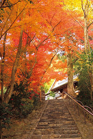 鈴虫寺(華厳寺)
