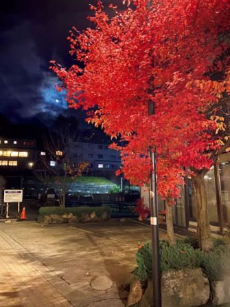 夜の温泉街の紅葉