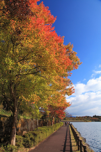 田貫湖
