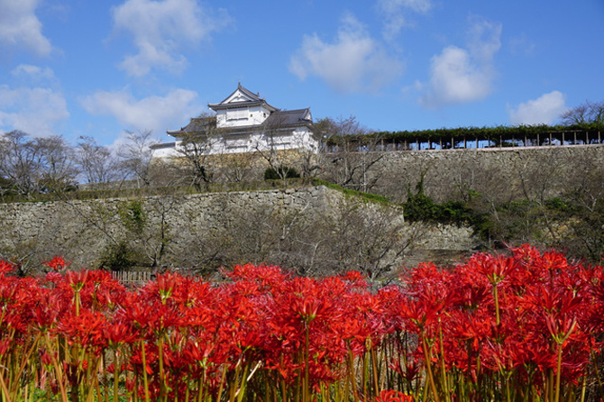 津山城（鶴山公園）